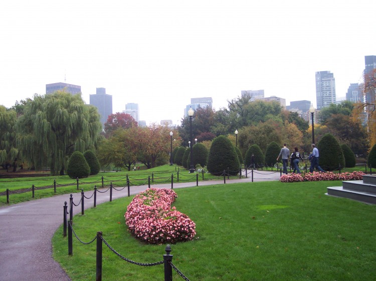 Fotka městského parku na jaře