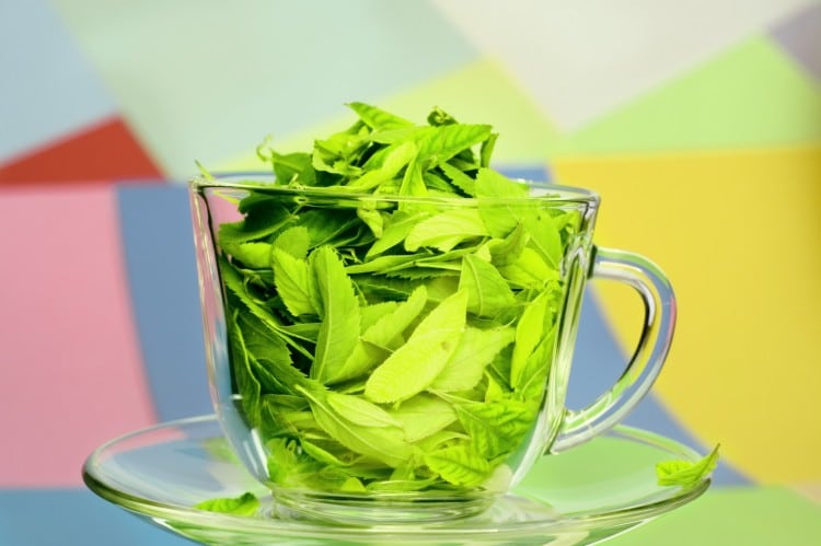 Sypaný zelený čaj v průhledném skleněném hrnečku