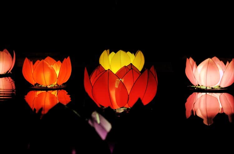 Barevné lampionky ve tvaru lotosu plovoucí na vodní hladině